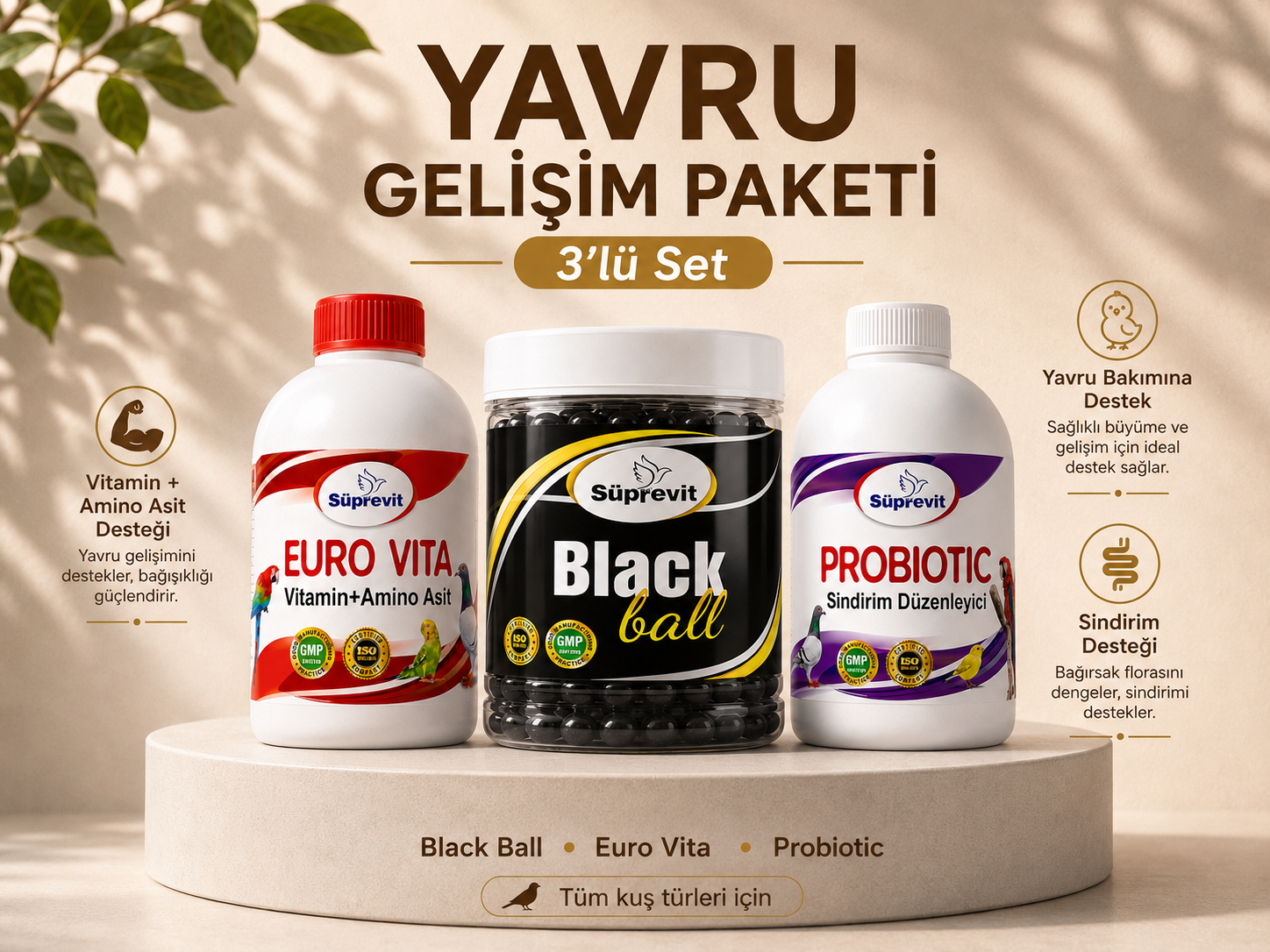 Yavru Gelişim Paketi – Black Ball + Euro Vita + Probiotic
